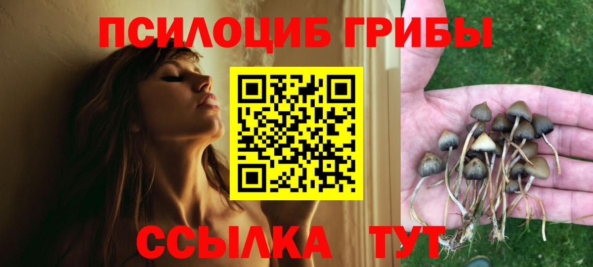 Галлюциногенные грибы мицелий Сургут