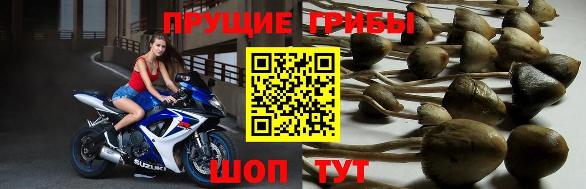 Псилоцибиновые грибы Psilocybine cubensis  Вход с VPN  Галлюциногенные грибы Magic Shrooms  Сургут 